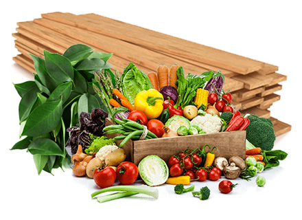 Here you will find all the necessary details about our recycling options for food organics, green waste and garden organics (FOGO Waste Recycling).